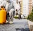 Why Commercial Properties Need Pest In North Shore Need Pest Control and Management?